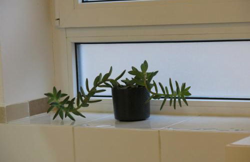 Ferienwohnung Arenz - Foto 32