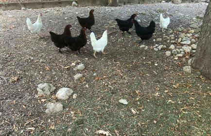 Hotel Rural Victoria by Bossh! Hotels - Foto 11