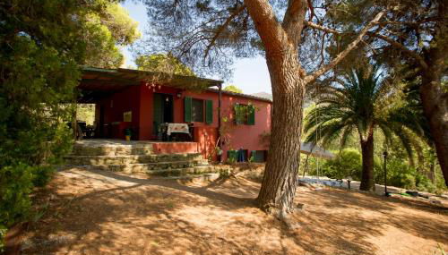 Casa Nocella a Bagnaia - Goelba - Foto 2, Garden