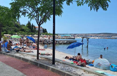 Family and pet friendly apartment Frankopan Croatia - Photo 30