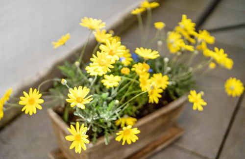 Ferienwohnung Lehen - Herr 1 - Foto 20