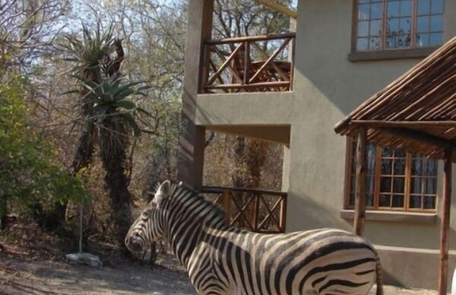 Marloth Kruger Accommodation - Foto 51