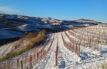 Beautiful private house among the Moscato vineyards - Foto 2