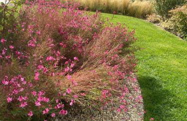 Laserrafelice - Photo 35