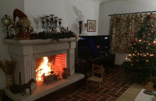 Monte das Palmeiras - Foto 38