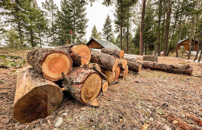 Whispering Pines cabin rentals - Photo 29