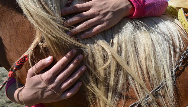 Cuacos, caballos locales