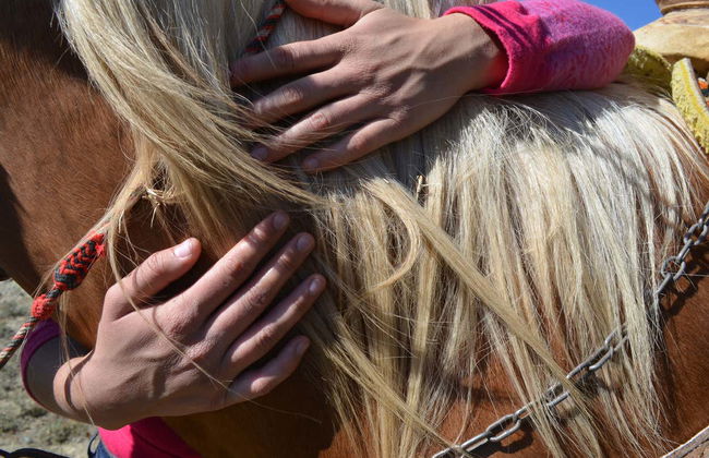 Paseo a caballo por la Sierra de Santa Rosa - Foto 4
