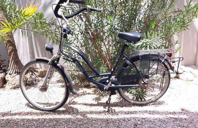 BnBBonaire - Foto 67