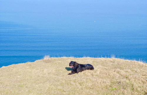 Driftwood Apartment - Foto 37