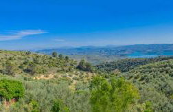 El Rincón de Carmen - Foto 107