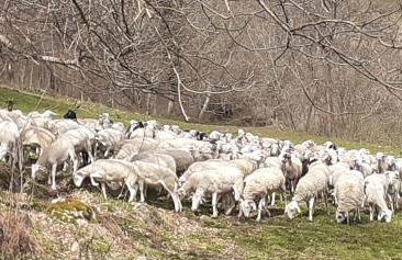 Grange ancienne aménagée - Photo 14