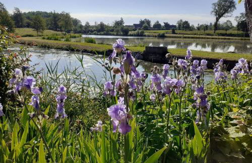 L'Epicurienne - Foto 22