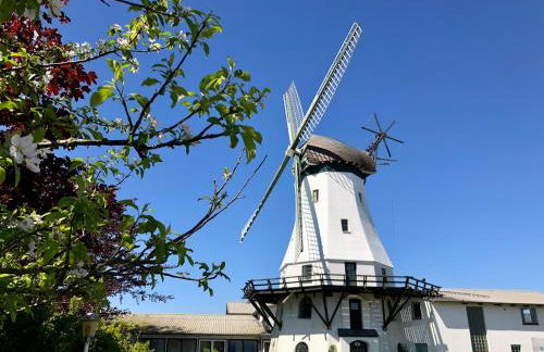 Nordlicht - Herzliche 1-Zimmer FeWo mit Meerblickbalkon - Foto 21