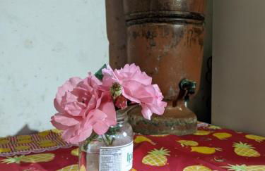 Casarão Aurora - Foto 27