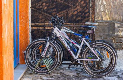 Rustic villa casa Nadalina with pool in Visnjan - Foto 27