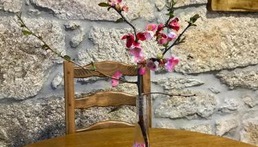 Serrano T1 centro da cidade - Foto 3