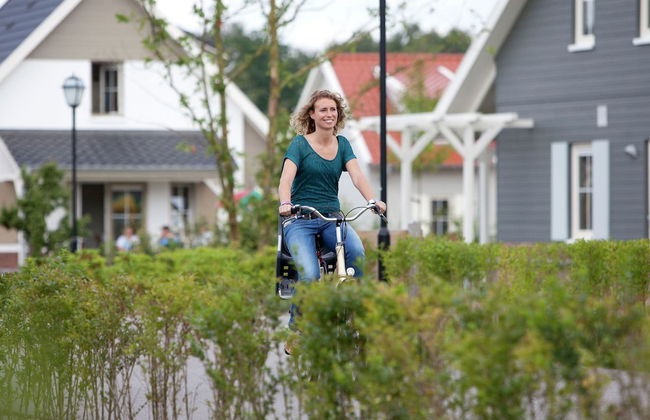 Luxurious Detached Villa With Washer, in De Maasduinen Area - Photo 19