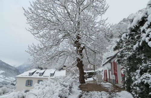 Comfortable farm house Petit Barzun, in the Parc National Pyrenees - Foto 15