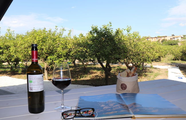 Agriturismo Vultaggio - Foto 69