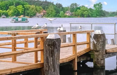 Ferienhaus Krakow Am See - Foto 18