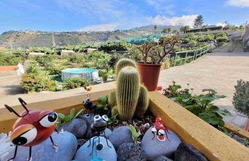 Bollullo Sunset - Ceiba - Foto 40