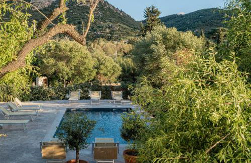 Villa Aromata - Photo 7