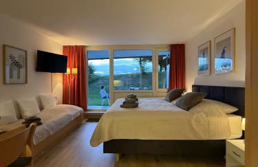 FeWo Pool, Sauna, Wellness, Gartenterrasse ENGELMEER - Foto 5