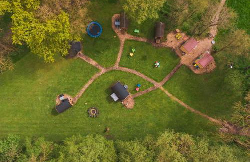 Kuhle Auszeit - Fass Sonnenblume - Foto 14