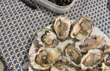 Petite maison dans la manche - Foto 26