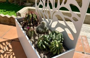 Amore Salentino - Dein Ferienhaus im Herzen des Salento - Foto 30