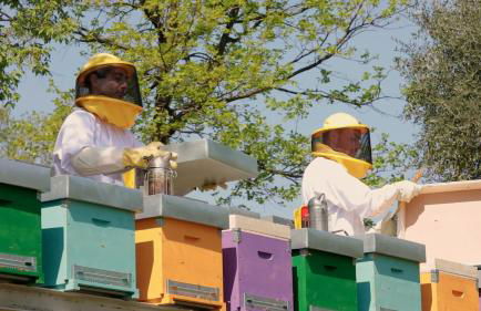 Agriturismo Borgo il Mezzanino - Foto 120