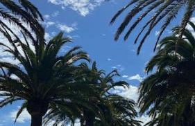 ESPECTACULAR Apartamento en el Centro de Cantabria - Foto 47