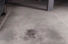 Casa Altaona - Foto 17