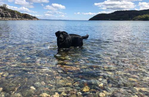 Barfad Self Catering Holiday Cottages - Foto 14