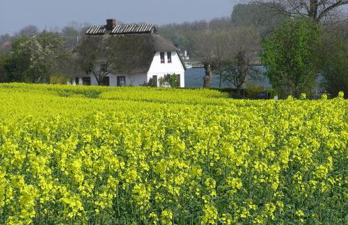 De lütte im gulen Hus - Foto 11