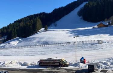 Edelweiss, Studio 5 pers, balcon sud est, vue sur les montagnes - Foto 74