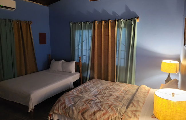 Birdie's Nest - Foto 7