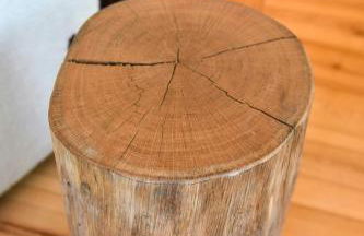 Log Cabin With Sauna In The Upper Harz Mountains - Foto 6