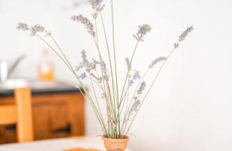 Casa dos Escritores - Casa de Férias com Piscina Privada - Foto 24