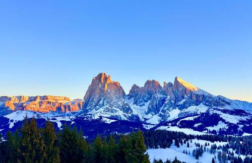 Alpine Chalet CESA VEDLA -nature & silence - Foto 64