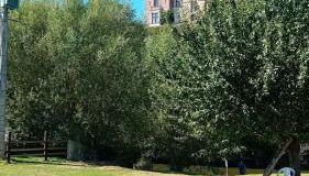 Gîte familial au bord de l'Orne, au pied du château de Mesnil-Glaise - Foto 4