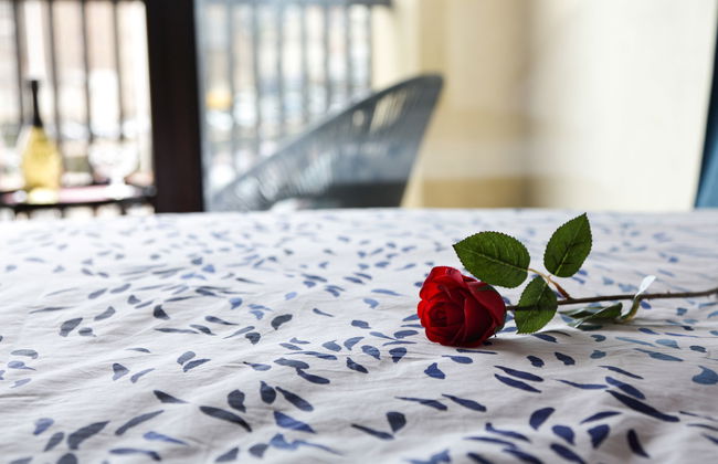 Le Continental - Foto 10