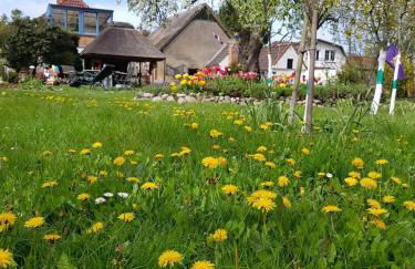 Hering FeWo I Apartment Terrace - Foto 31