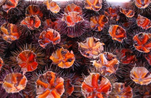 appartamento vista mare da MARY - Foto 62