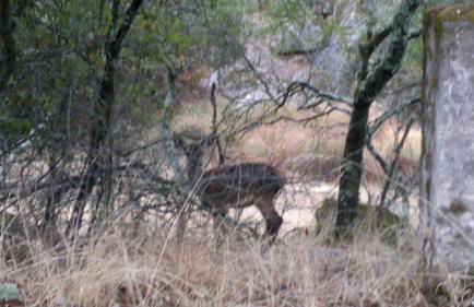 Apartamentos Paraje San Gines - Foto 55