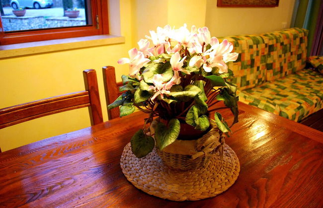 Agriturismo Valle degli Arci - Foto 21