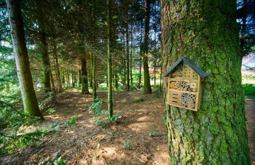 TEN Dom w Ludwikowicach Kłodzkich - Foto 42