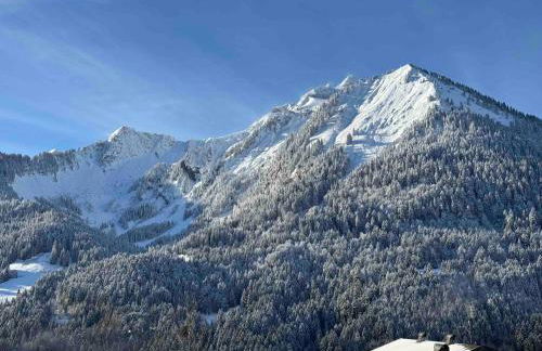 Charming, cosy chalet nestled in a breathtaking surrounding with spectacular, stunning mountain views - Foto 39