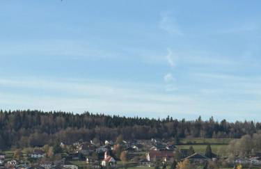 Chalet Charmant rénové au bord du Lac St Point - Foto 19